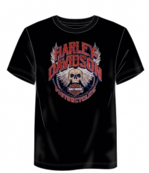 Harley-Davidson shirt