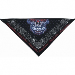 Harley-Davidson Bandana
