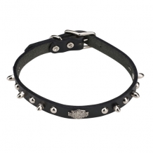 Harley-Davidson halsband