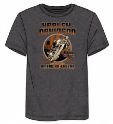 Harley-Davidson t-shirt